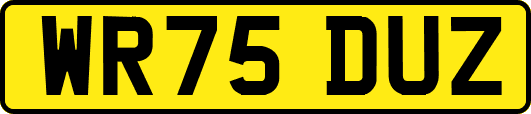 WR75DUZ