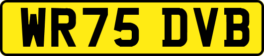 WR75DVB