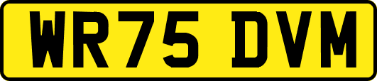 WR75DVM
