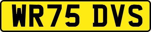 WR75DVS