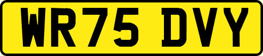 WR75DVY