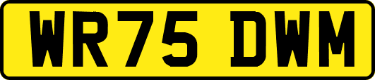 WR75DWM