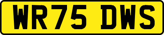 WR75DWS