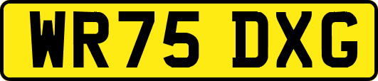 WR75DXG