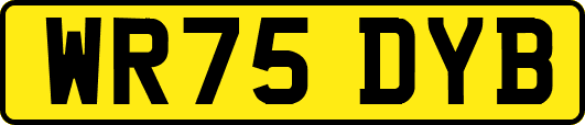 WR75DYB
