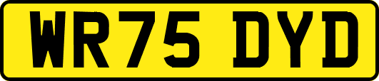 WR75DYD