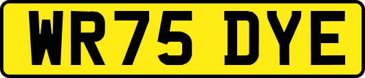 WR75DYE