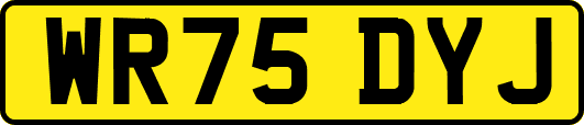 WR75DYJ