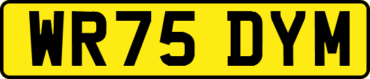 WR75DYM