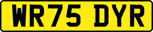 WR75DYR