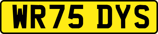WR75DYS