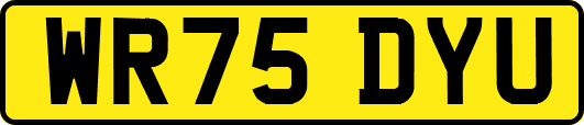 WR75DYU