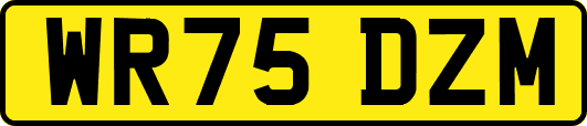 WR75DZM