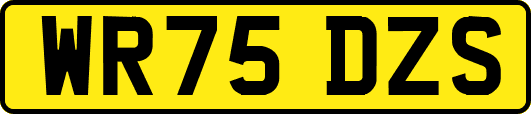 WR75DZS