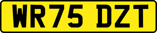 WR75DZT