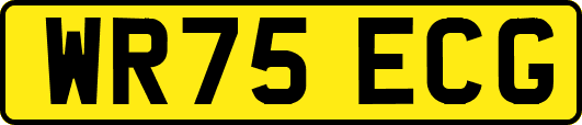 WR75ECG
