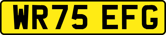 WR75EFG