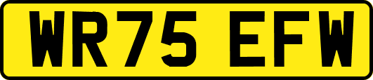 WR75EFW