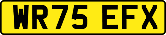 WR75EFX