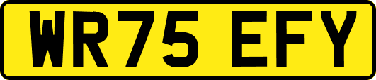 WR75EFY