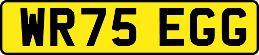 WR75EGG