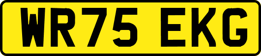 WR75EKG