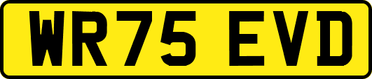 WR75EVD