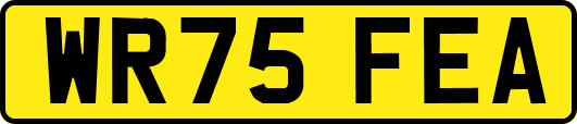WR75FEA