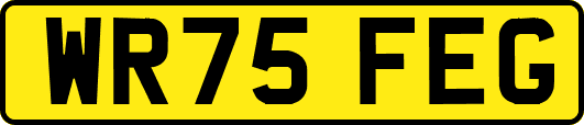 WR75FEG