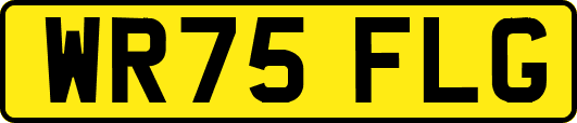 WR75FLG