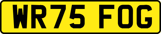 WR75FOG