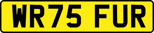 WR75FUR