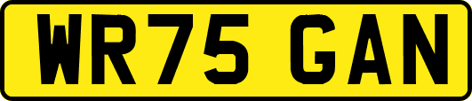 WR75GAN