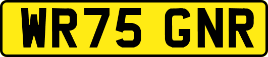 WR75GNR