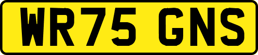 WR75GNS