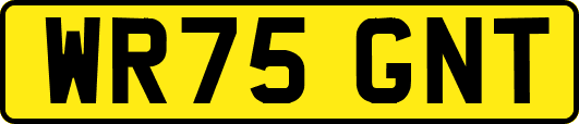 WR75GNT