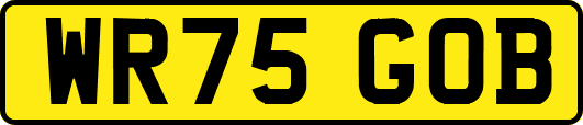 WR75GOB