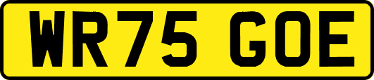 WR75GOE
