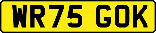 WR75GOK