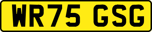 WR75GSG