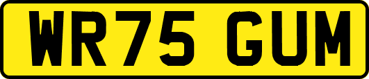 WR75GUM