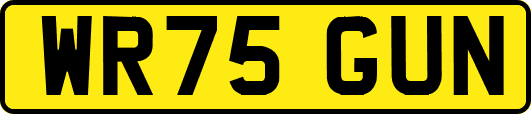 WR75GUN