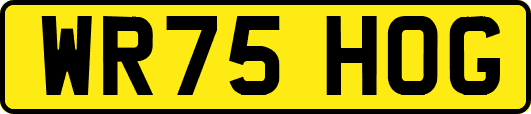 WR75HOG