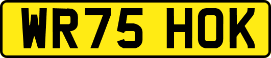 WR75HOK