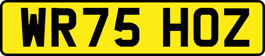 WR75HOZ