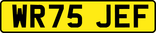 WR75JEF