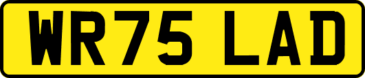 WR75LAD