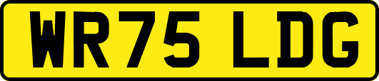 WR75LDG