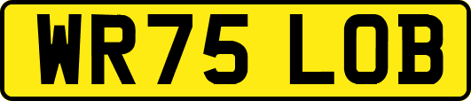 WR75LOB