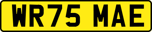WR75MAE